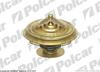 Termostat 3.2 VOLKSWAGEN TOUAREG 02-07