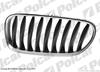 gril atrapa chrom/czarne BMW Z4 (E85), 02.03-09.08