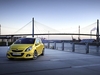 Opel Corsa OPC 2010 Opel Corsa OPC 2010